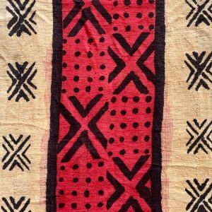 Sankofa Mind and Body