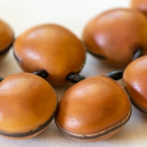 Sankofa Mind and Body