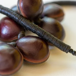 Sankofa Mind and Body