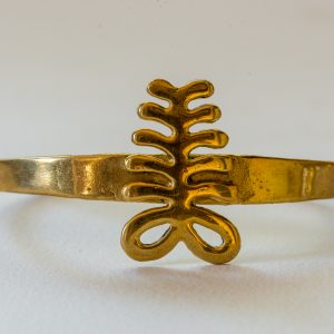 Sankofa Mind and Body