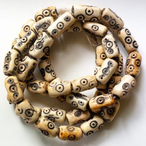 Sankofa Mind and Body