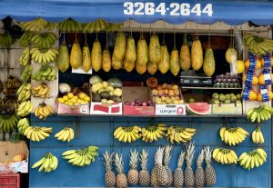 Salvador, Bahia, Brazil