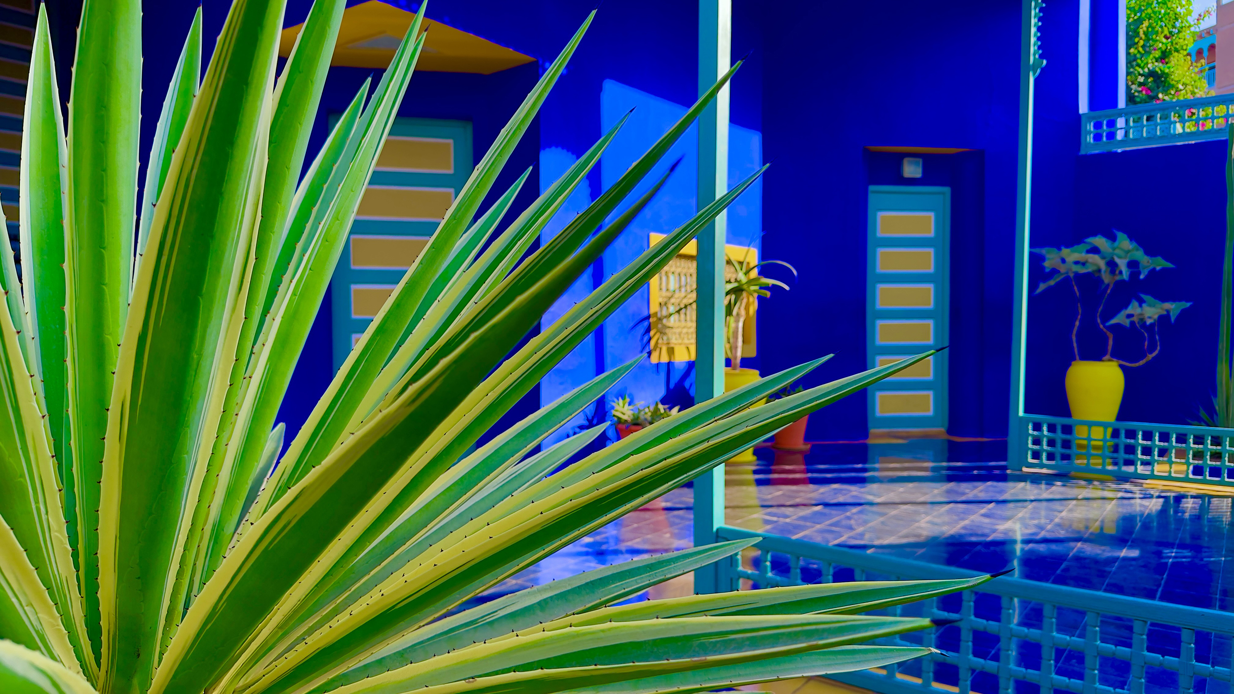 Jardin Majorelle Visual / Sound Meditation